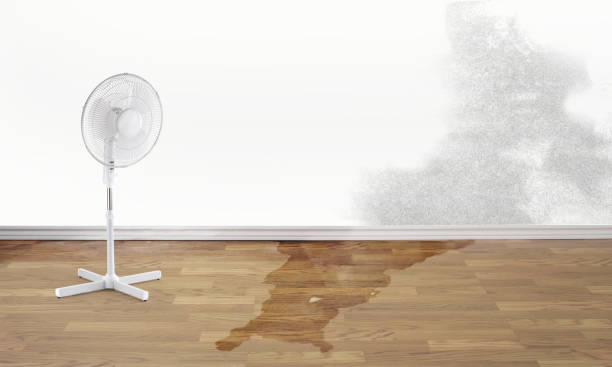  Madison, WI Water damage restoration Pros