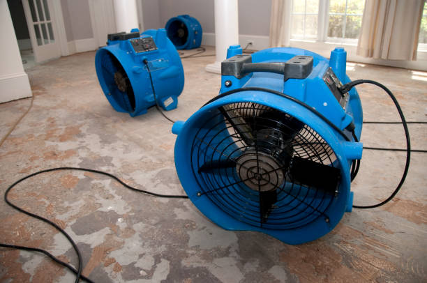 Best Fire Damage Restoration  in Madison, WI