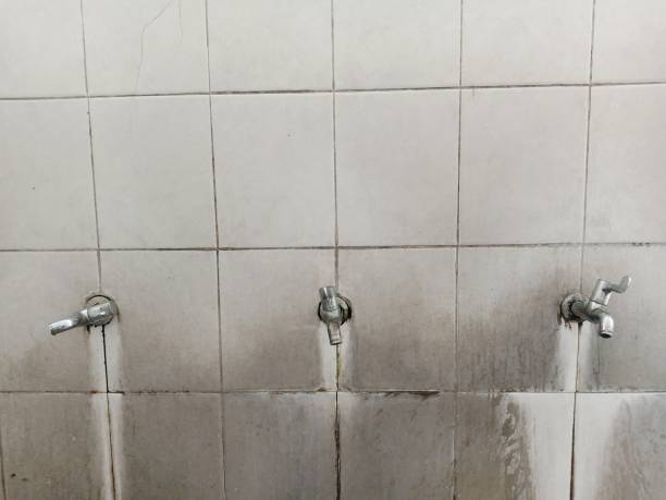 Best Professional water damage repair  in Madison, WI